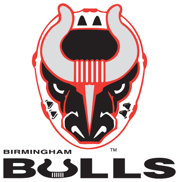 Birmingham Bulls 2017-Pres Primary Logo iron on transfers for clothing